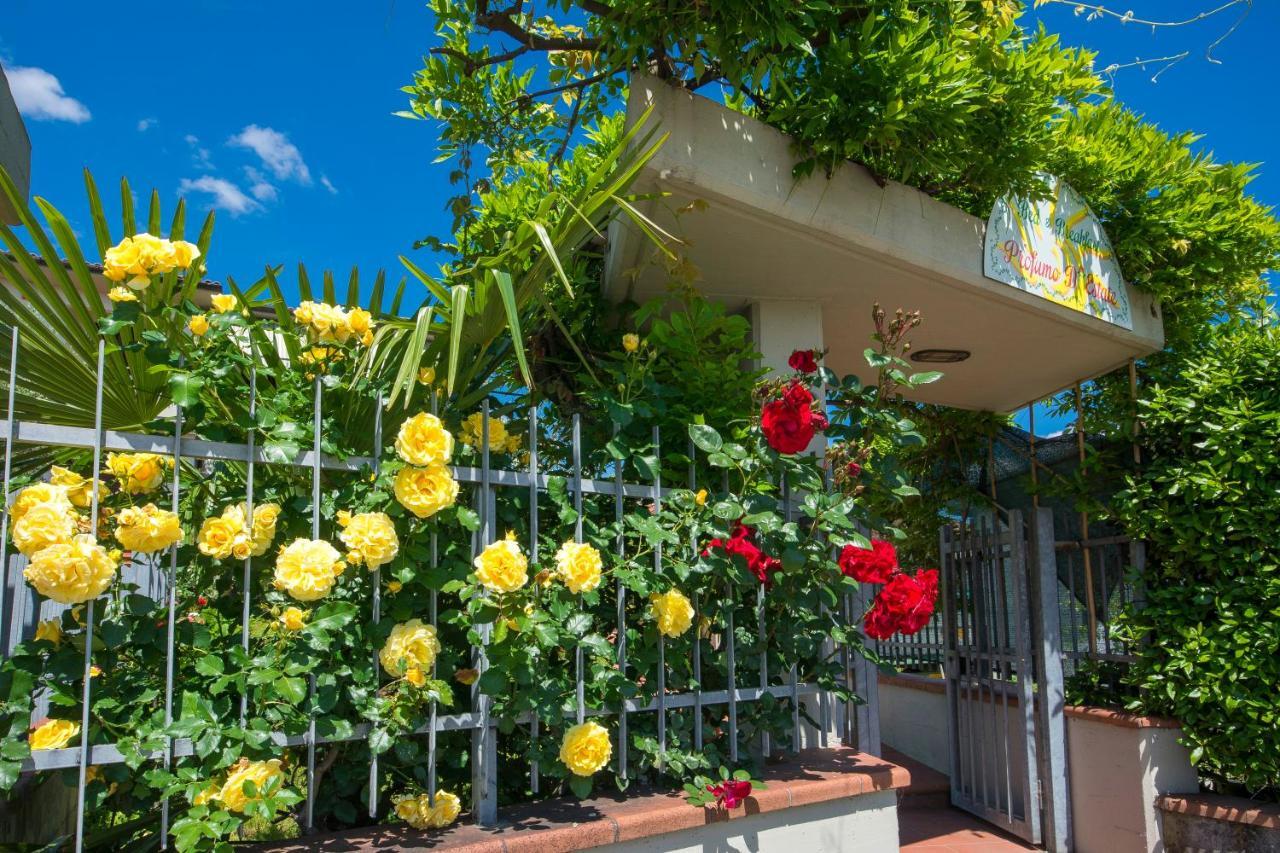 Bed & Breakfast Profumo D'Estate Agliana Bagian luar foto